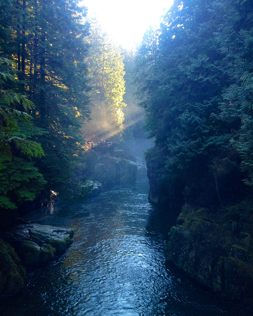 Photo taken from cable bridge in Capilano River Regional Park