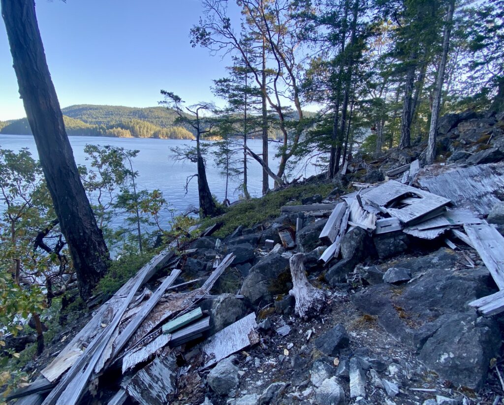 The site of a previous cabin that was torn down years before and there are piles of wood and debris strewn about in the woods all over the place.
